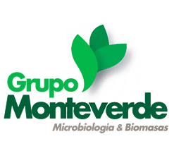 Grupo Monteverde