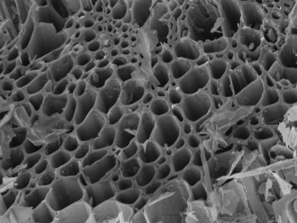 Estructura Biocarbón